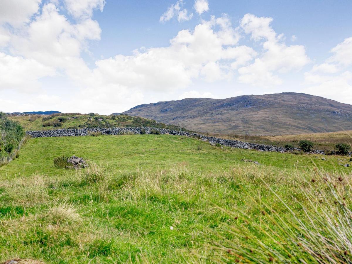 Llety Nest Villa Llanfachreth Buitenkant foto